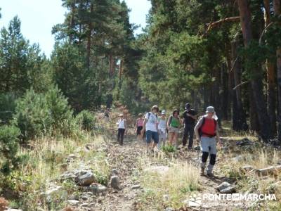Senderismo entre pinares - trekking mochilas; foro senderismo